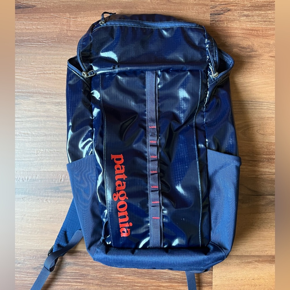 Patagonia Black Hole 25L Travel Pack